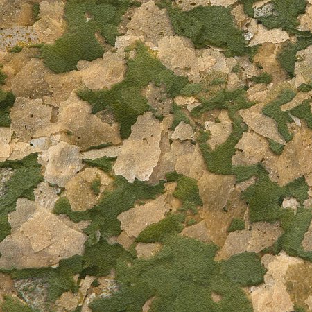 Sera Vipan Nature VV 10 l / 2 kg