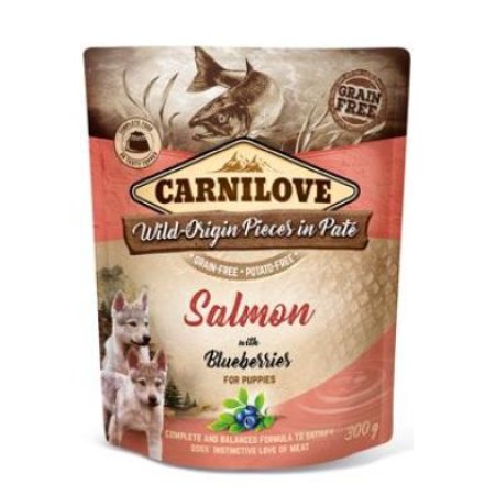 Carnilove Dog Pouch Paté Salmon & Blueber Puppies 300g