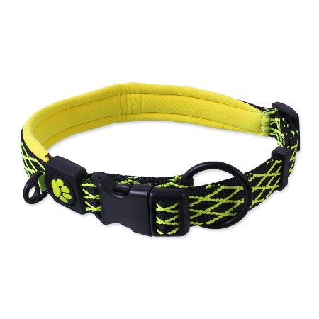 Obojek ACTIVE DOG Mystic limetka L