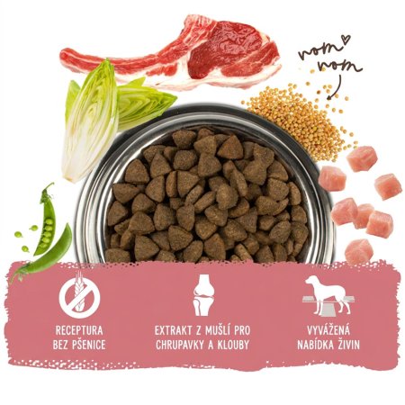 Bosch Adult Lamb & Rice 15 kg (EXPIRACE 12/2026)