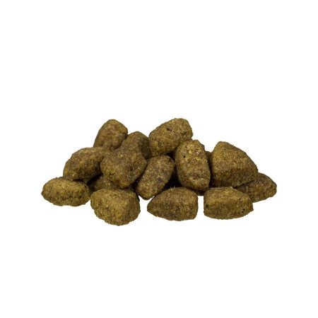 Bosch Adult Lamb & Rice 15 kg (EXPIRACE 12/2026)
