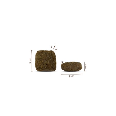 Bosch Adult Poultry & Millet 15 kg (EXPIRACE 24/10/2026)