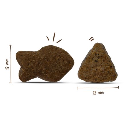 Bosch Adult Salmon & Potato 1 kg