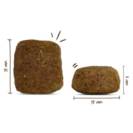 Bosch Maxi Senior Poultry & Rice 12,5 kg