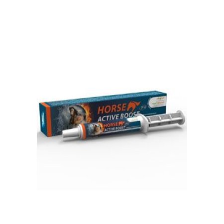 Horse Active Boost perorální pasta 1x20g