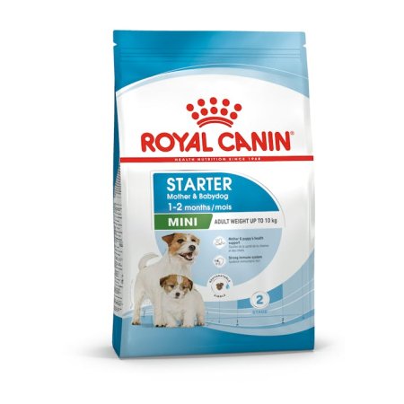 Royal Canin Mini Starter Mother & Babydog 4 kg