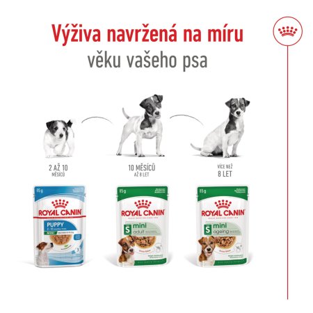 Royal Canin Mini Ageing 12 x 85 g