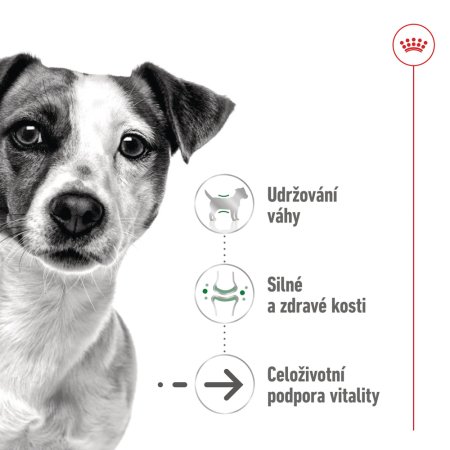 Royal Canin Mini Ageing 12 x 85 g