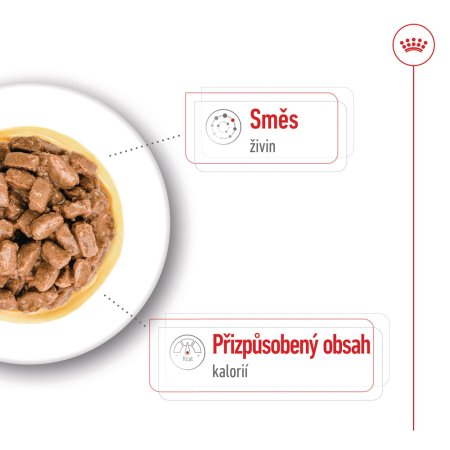 Royal Canin Mini Ageing 12 x 85 g