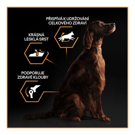 Pro Plan Large Adult Athletic Optibalance kuře 14 + 2,5 kg