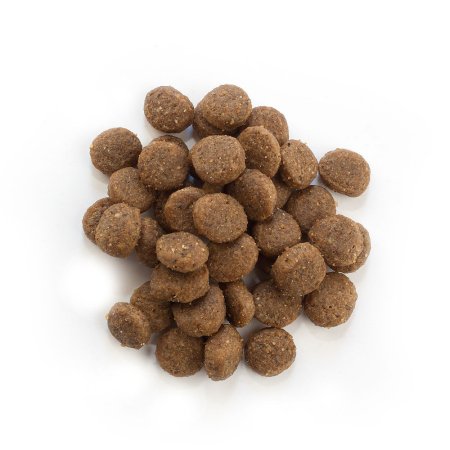 Happy Cat VET Intestinal 1 kg