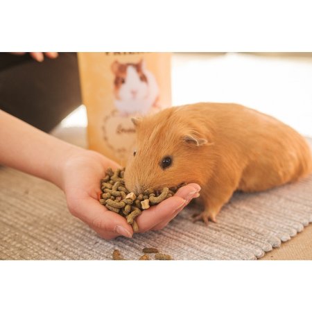 Fitmin For Friends kompletní krmivo pro morčata 450 g