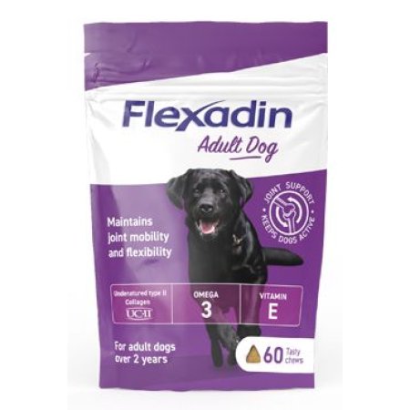 Flexadin 4Life Adult Dog žvýkací 60tbl