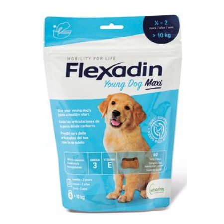 Flexadin 4Life Young Dog Maxi žvýkací 60tbl