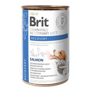 Brit VD Dog+Cat GF konz. Recovery 400g