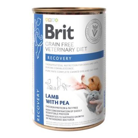 Brit VD Dog+Cat GF konz. Recovery 400g