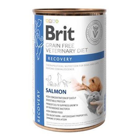 Brit VD Dog+Cat GF konz. Recovery 400g