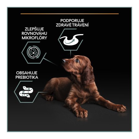 Pro Plan Large Puppy Athletic Optidigest jehněčí 12 kg