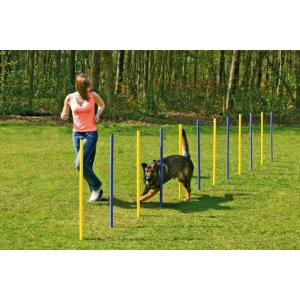 Karlie Agility slalom žlutá/černá 12x100cm