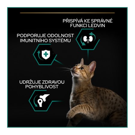 Pro Plan Cat Adult kuře 10 kg