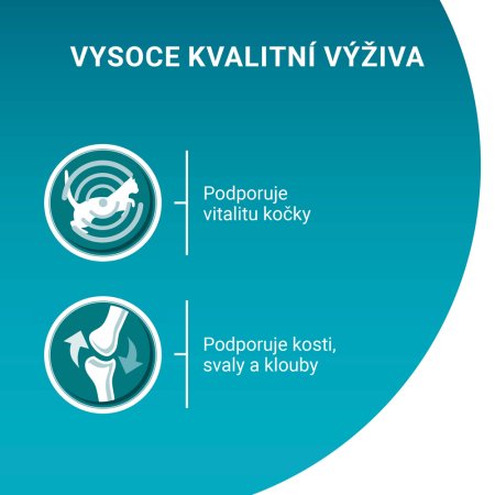 Purina One Adult minifiletky s jehněčím / mořskými rybami / kuřetem / hovězím a zeleninou ve šťávě Multipack 40 x 85 g