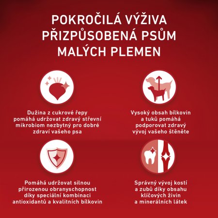 Purina One Mini Junior Dog kuře s rýží 800 g 