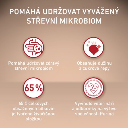 Purina One Mini Junior Dog kuře s rýží 800 g 