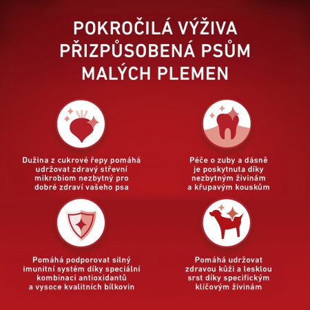 Purina One Mini Adult Dog hovězí s rýží 800 g