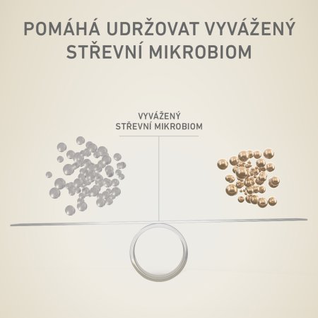Purina One Mini Sensitive Dog losos s rýží 800 g