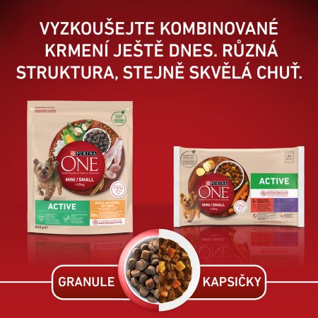 Purina One Mini Active Dog kuře s rýží 800 g