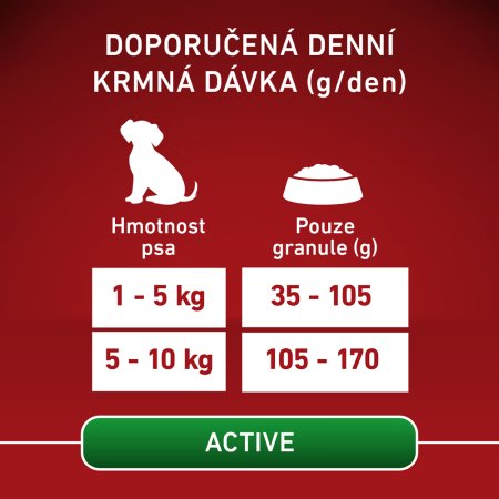Purina One Mini Active Dog kuře s rýží 800 g