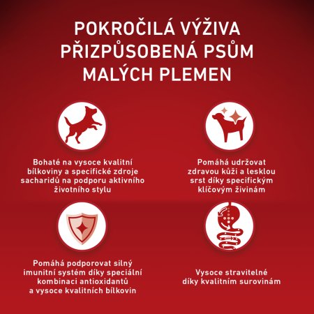 Purina One Mini Active Dog kuře s rýží 800 g