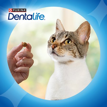 Dentalife Cat kuře 40 g 