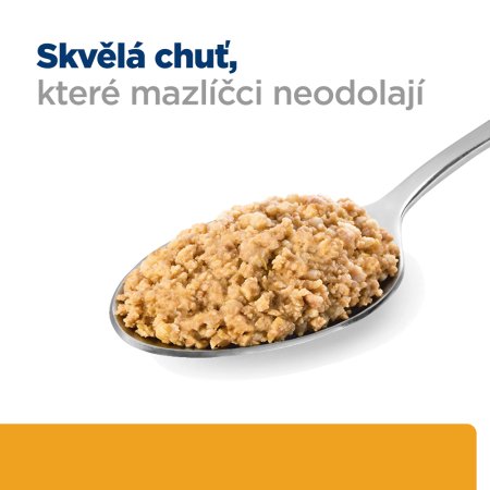 Hill’s Prescription Diet c/d Multicare Péče o močový systém pro psy 370 g