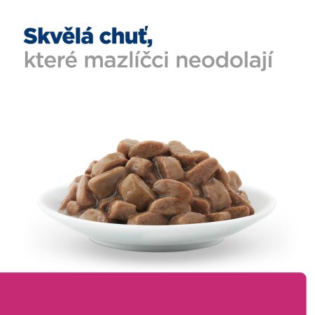 Hill’s Prescription Diet GI Biome Péče o zažívání pro kočky 12 x 85 g