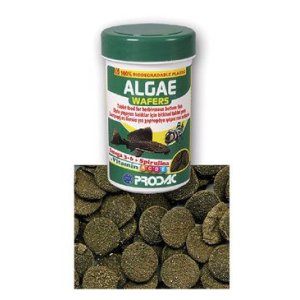 Prodac Algae Wafers, 50 g