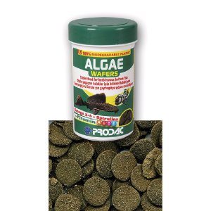 Prodac Algae Wafers, 50 g