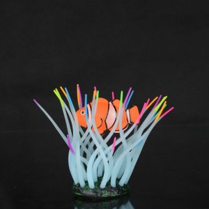 Aqua Lumo Sasanka mořská s klaunem