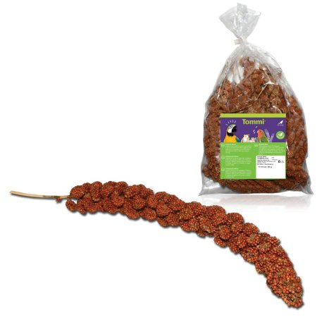 Senegalské proso červené, 200g