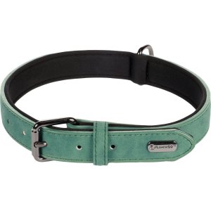 Flamingo Delu Obojek s neoprenovým polstrováním Zelená L