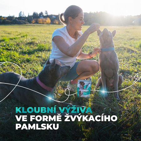 Contipro Geloren Dog L-XL (60tbl) 420 g