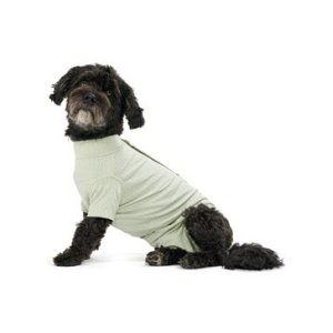 Obleček Body Suit Step'n Go Dog S zelený BUSTER