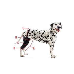 Bandáž Rehab na koleno pro psa KRUUSE XL Levá