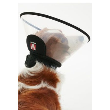 Límec ochranný BUSTER plastový Complete Collar 15 cm