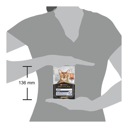 Pro Plan Cat Housecat kapsička losos 26 x 85 g