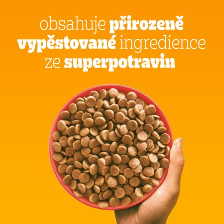 PEDIGREE granule Mini s hovězím a drůbežím 2 kg