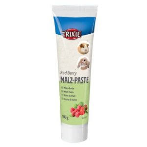 Trixie Sladová pasta pro hlodavce Red Berry - s lesními plody, 100g