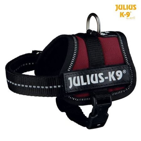 Julius-K9 silový postroj Baby 1/XS 30-40 cm, burgund - DOPRODEJ