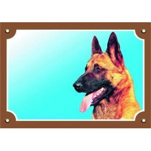 Barevná cedulka Pozor pes, Belgický ovčák