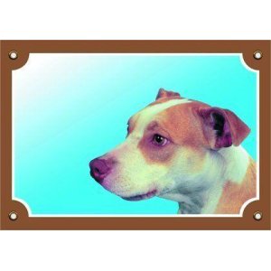 Barevná cedulka Pozor pes, Pitbullterier